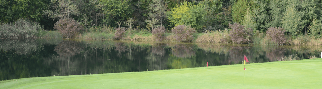 view of pond on golf course green