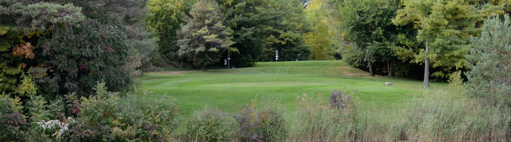 view of golf course green