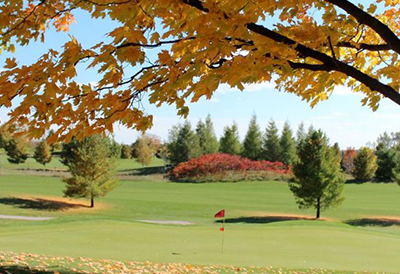 View of flag on green with colorful trees